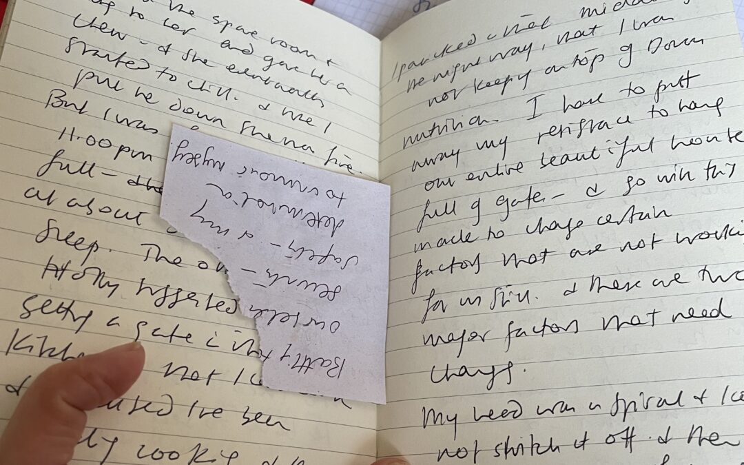 The Aesthetic Memoir: Ode to the Notebook